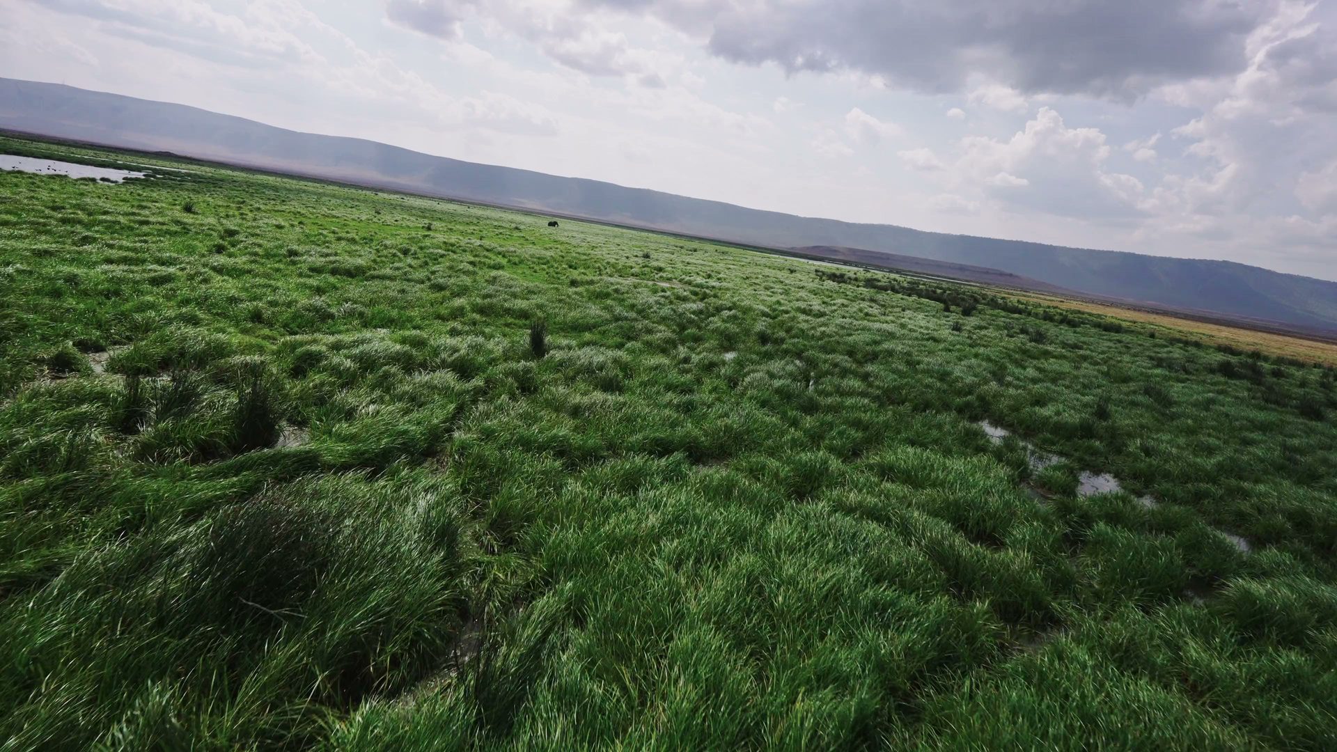 DRONE ENTERTAINMENT
