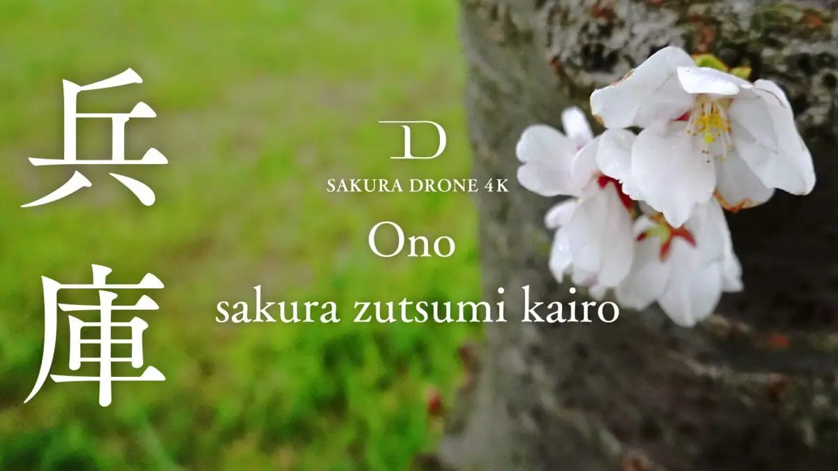 おの桜づつみ回廊（兵庫県小野市）をドローンで空撮