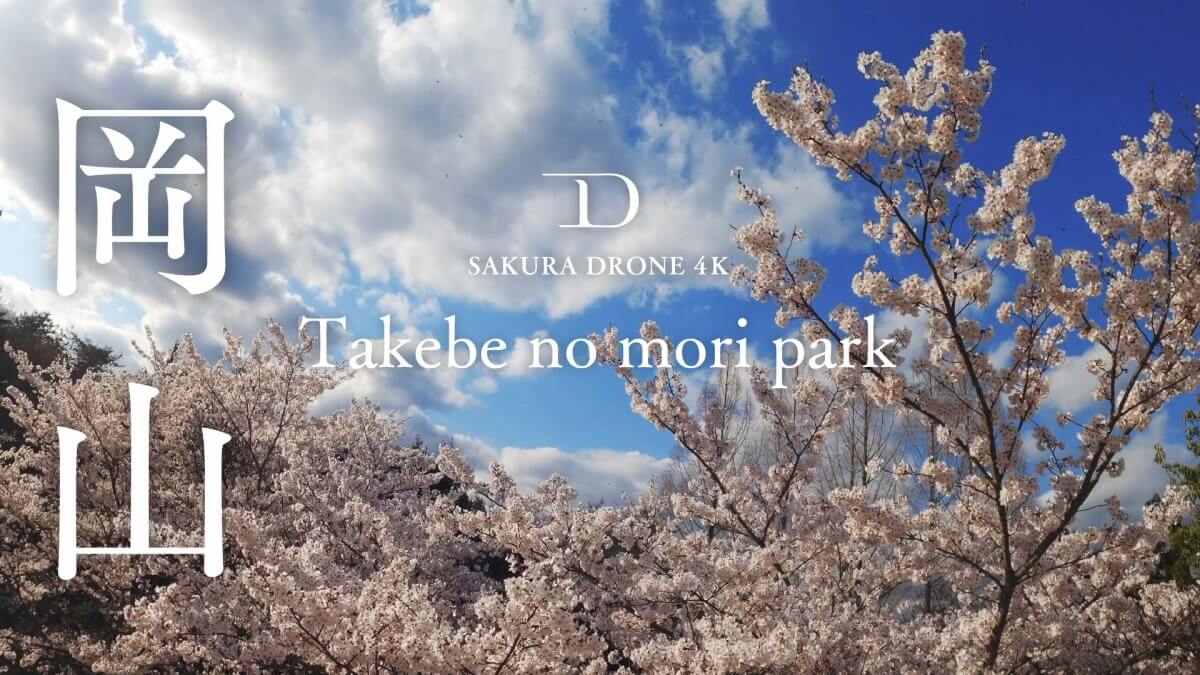 岡山県たけべの森の桜｜桜ドローンプロジェクト2020