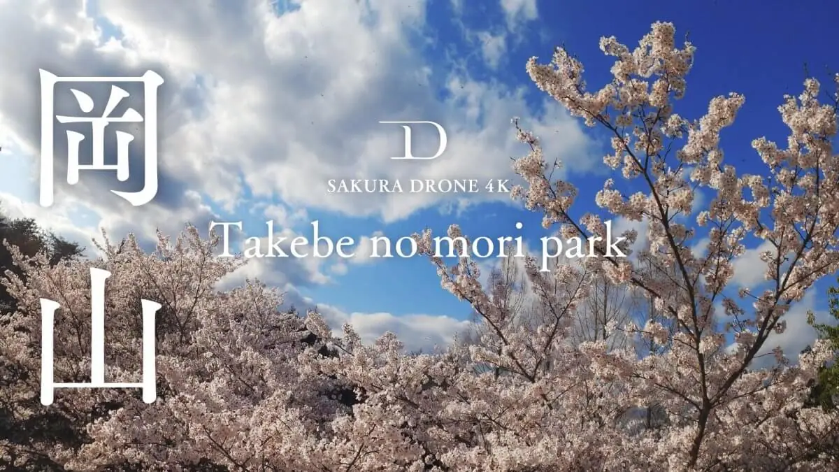 たけべの森の桜（岡山県岡山市）をドローンで空撮