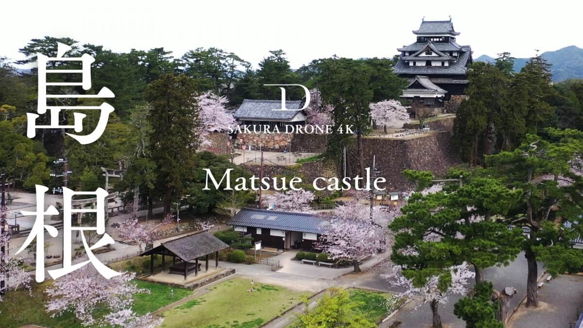 松江城とソメイヨシノ（島根県）｜桜ドローンプロジェクト2020
