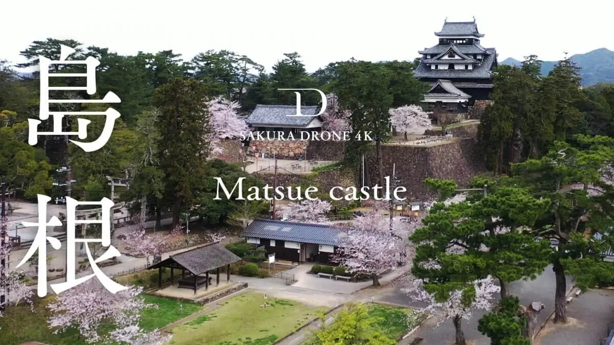 松江城とソメイヨシノ（島根県松江市）をドローンで空撮