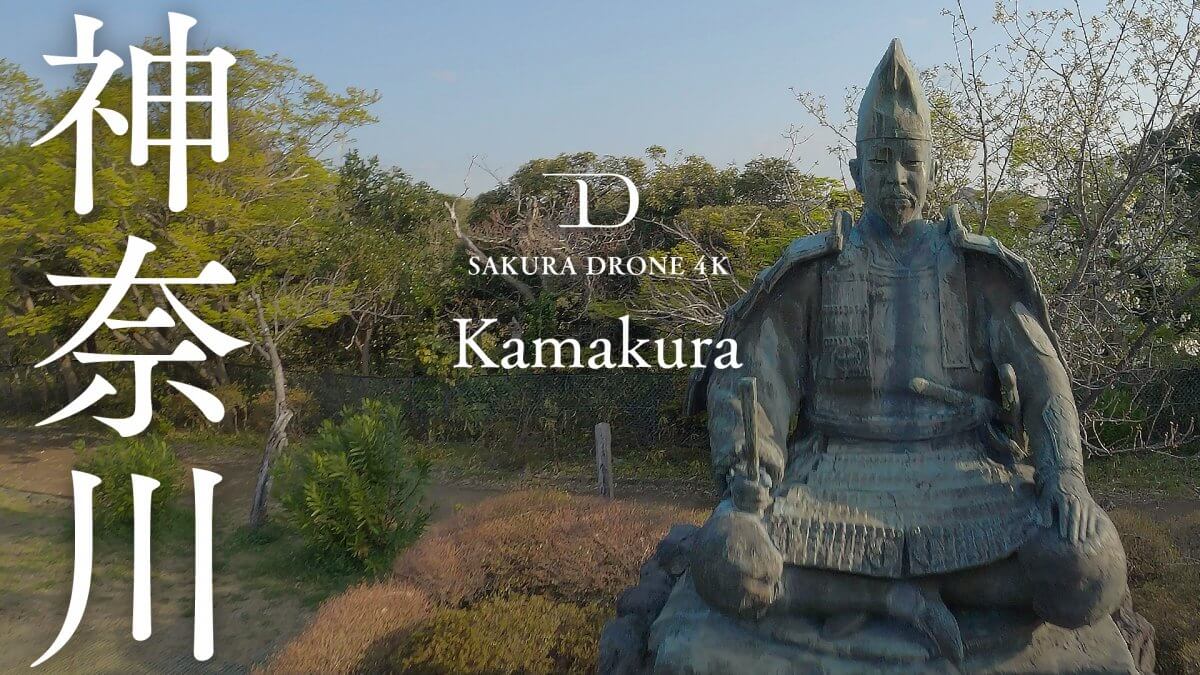 源氏山公園の桜（神奈川県鎌倉市）｜桜ドローンプロジェクト2020