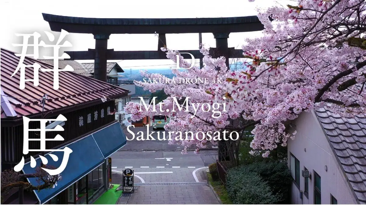 妙義神社の桜（群馬県富岡市）をドローンで空撮