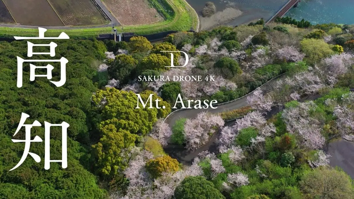 荒瀬山の桜（高知県宿毛市）をドローンで空撮