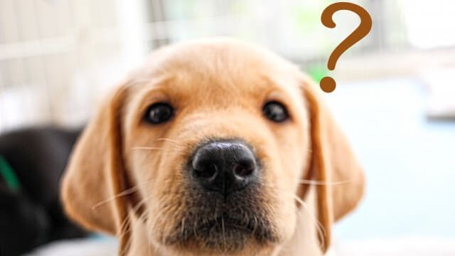 写真や普通の動画では魅力が伝わらない