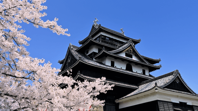 オンライン花見