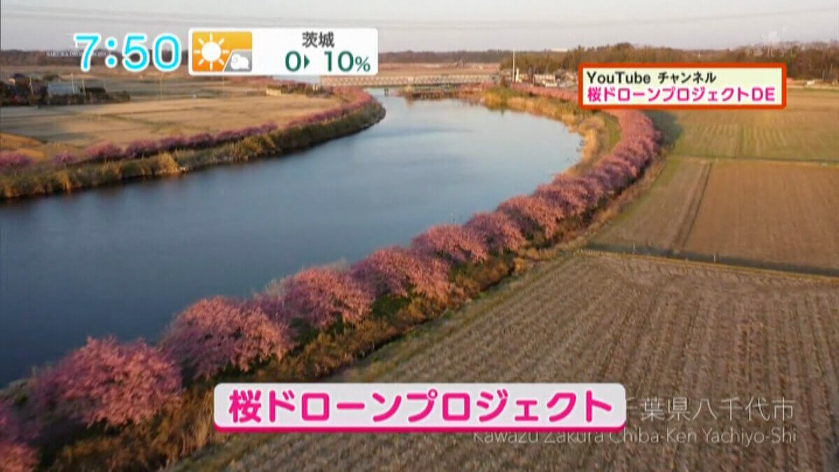 千葉テレビ放送「シャキット!」で「オンライン花見」が紹介されました!
