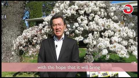 【桜ドローン映像提供】在オーストラリア日本大使館「ヴァーチャル花見」に桜映像の提供をいたしました！