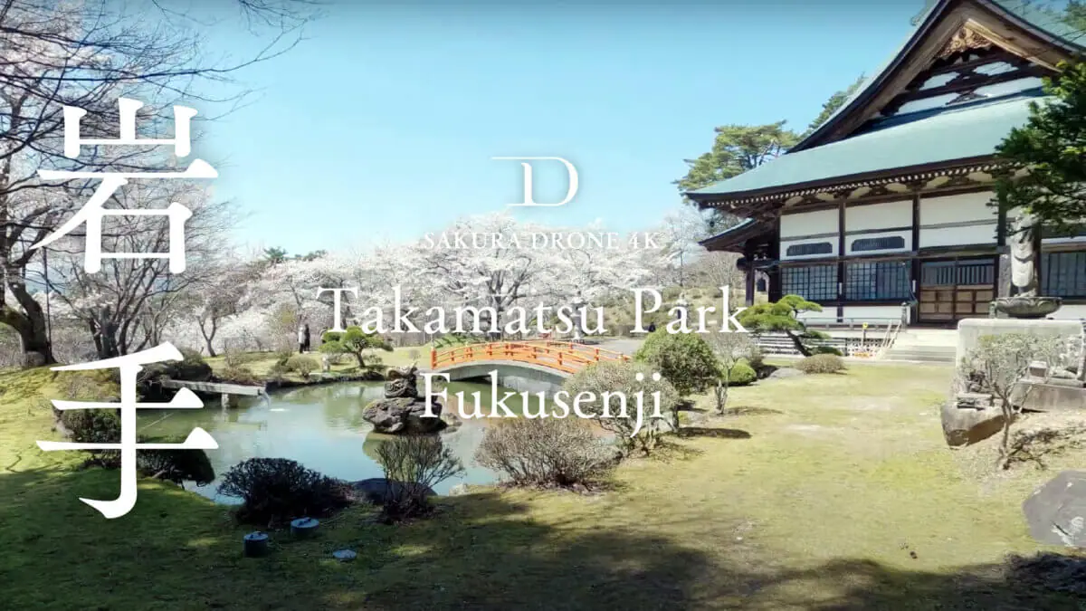高松公園ほか岩手県の桜をドローンで空撮