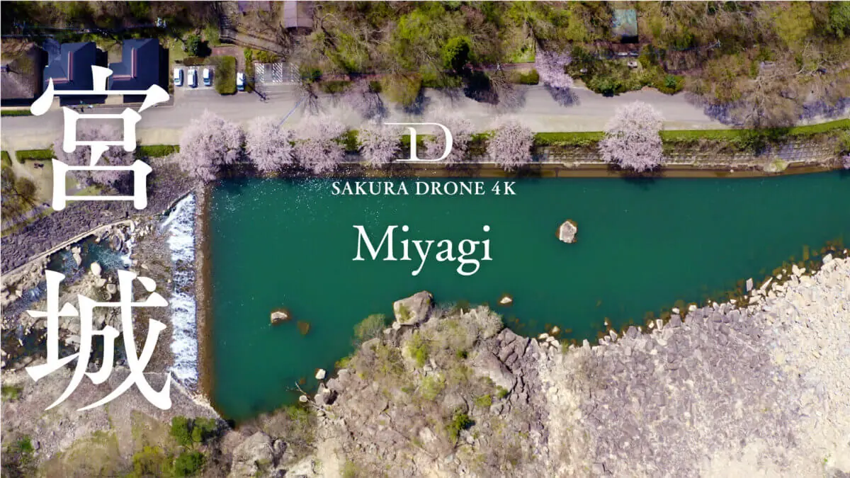 材木岩公園ほか宮城県の桜をドローンで空撮