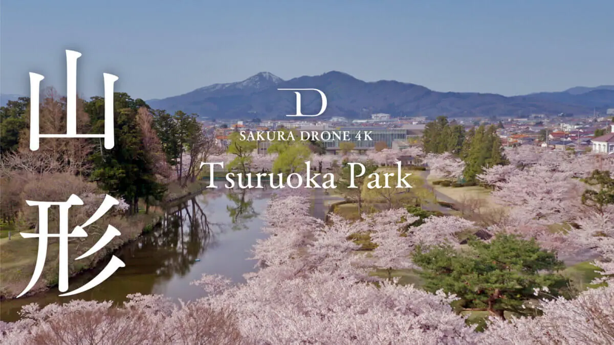 鶴岡公園の桜（山形県鶴岡市）をドローンで空撮