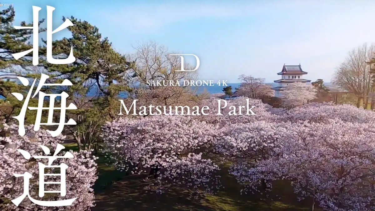 松前公園ほか北海道の桜をドローンで空撮