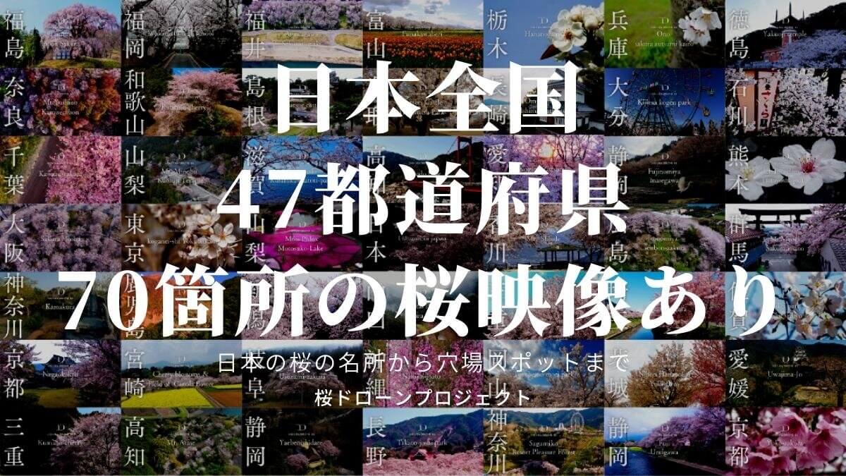 日本全国の桜ドローン映像の提供 Fpvドローン撮影やマイクロドローンを用いた企画表現 株式会社ドローンエンタテインメント