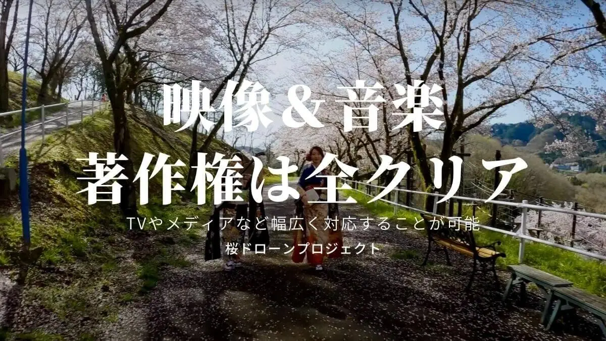 著作権がクリアされた映像がない