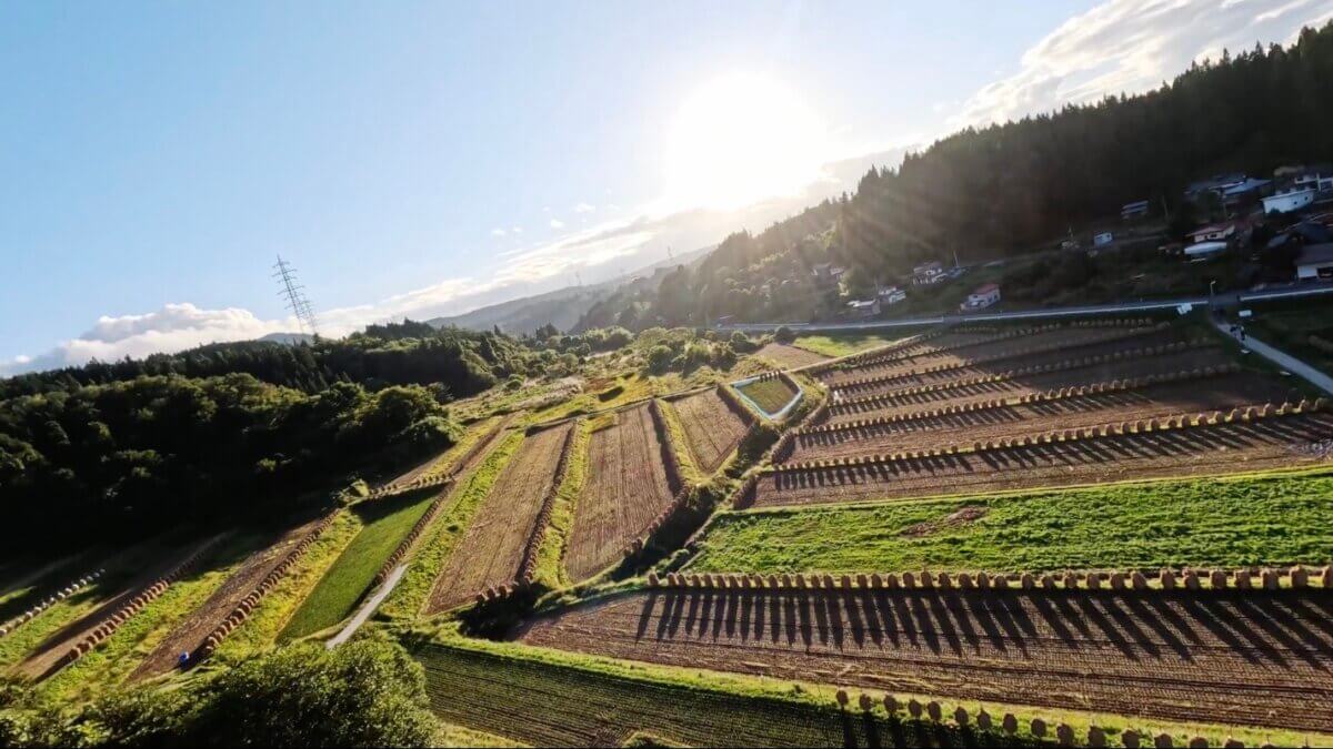 山形県山辺町の日本の棚田百選『大蕨（おおわらび）の棚田』をドローン撮影いたしました。