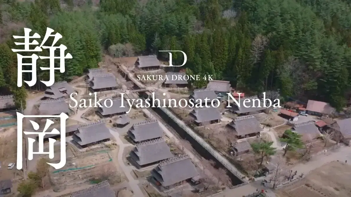 西湖いやしの里根場の桜と富士山（山梨県富士河口湖町）をドローンで空撮