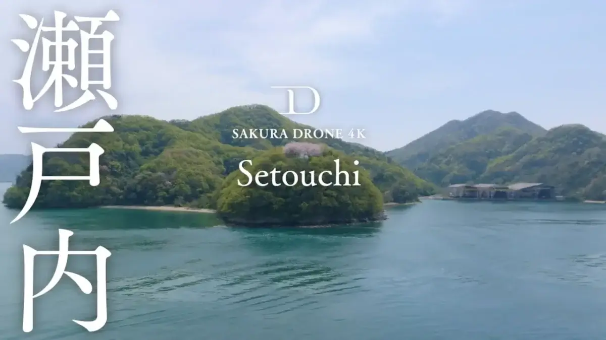瀬戸内海の桜 |Sakura in Seto Island Sea|桜ドローンプロジェクト2023