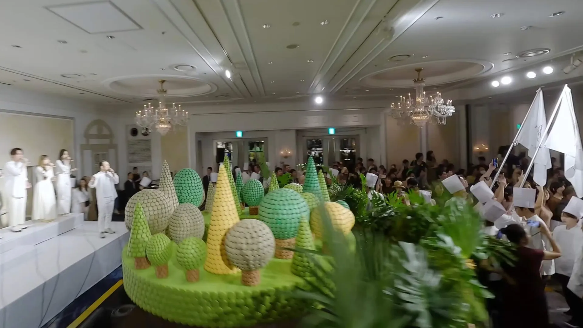 Japan FPV & Aerial Drone Coordination