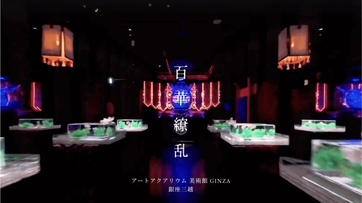 アートアクアリウム美術館GINZAのPVをマイクロドローンで撮影いたしました！