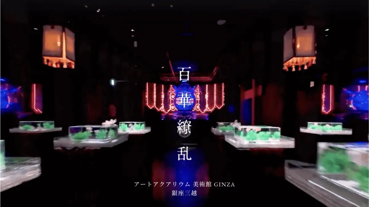 アートアクアリウム美術館GINZAのPVをマイクロドローンで撮影いたしました
