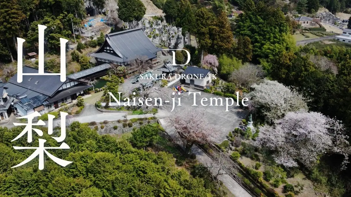 内船寺の桜（山梨県南部町）をドローンで空撮