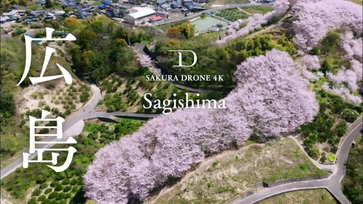 佐木島 塔の峰千本桜 ロングショット（広島県三原市）をドローンで空撮