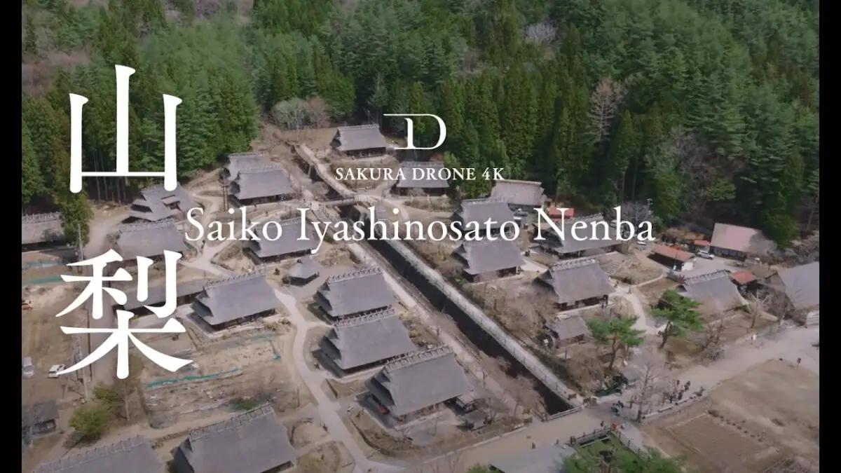 西湖いやしの里根場の桜と富士山（山梨県富士河口湖町）をドローンで空撮