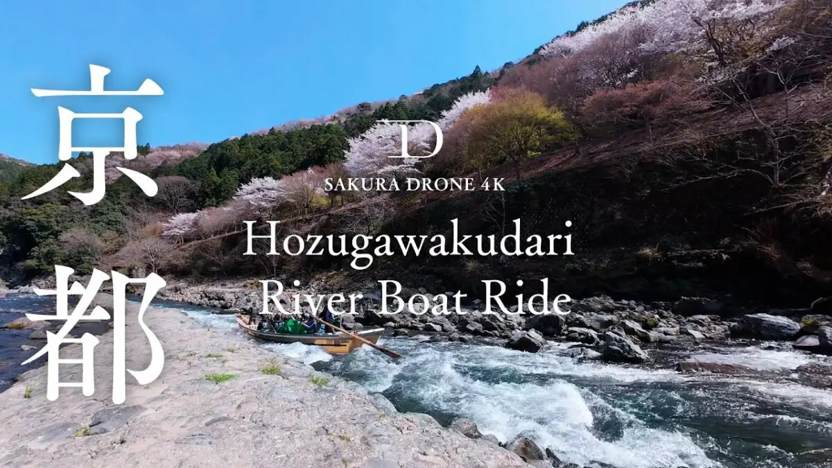 保津川下りと桜（京都府亀岡市〜京都市嵐山）をドローンで空撮