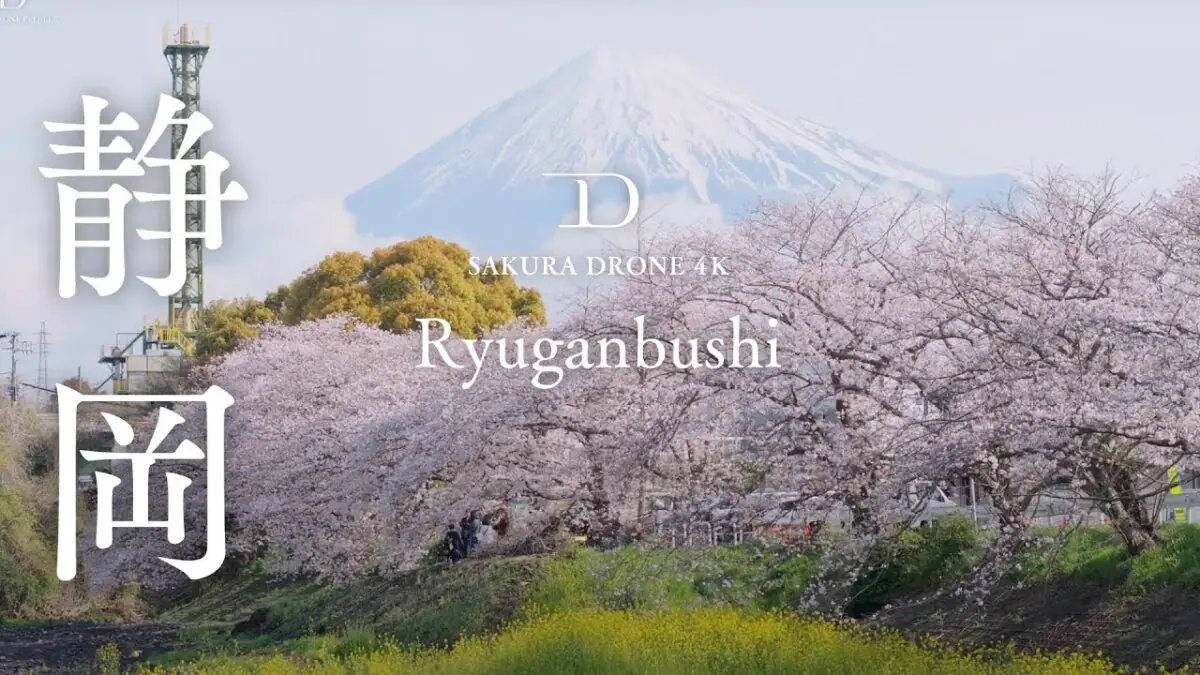 潤井川 龍巌淵の桜と富士山（静岡県富士市）をドローンで空撮